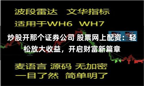 炒股开那个证券公司 股票网上配资：轻松放大收益，开启财富新篇章